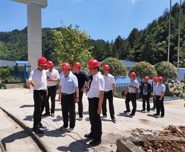 商洛市委副書記趙曉寧到鼎豐礦業(yè)公司選礦廠項目調(diào)研3.jpg
