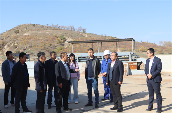 1766719264458346Rb3I.jpg 黨委書記、董事長(zhǎng)劉衛(wèi)東前往大興場(chǎng)站進(jìn)行項(xiàng)目調(diào)研.jpg