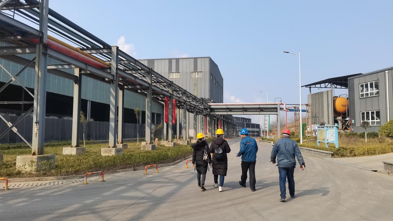 17670574131007258VEG.jpg 17670574131007258VEG.jpg